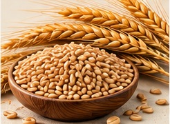 Wheat